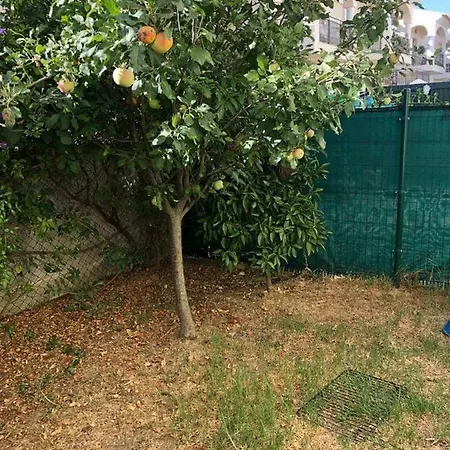 Rockfield 4 Ferienhaus