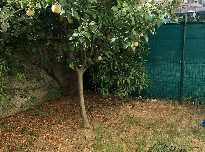 Rockfield 4 Hébergement de vacances